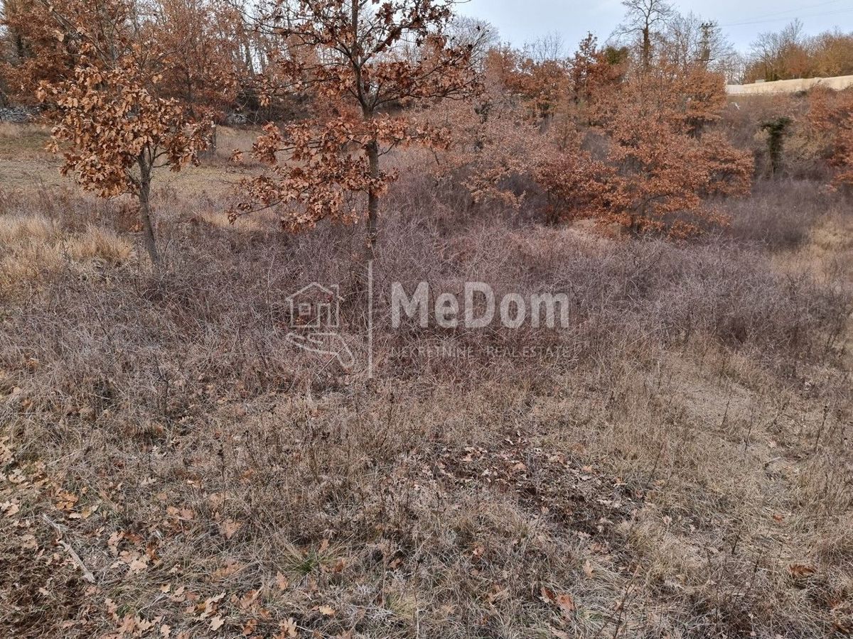 Land For sale - ISTARSKA SVETI PETAR U ŠUMI