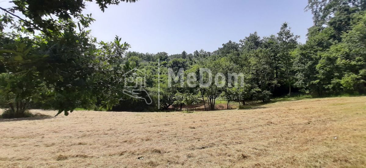 Land For sale - ISTARSKA SVETI PETAR U ŠUMI