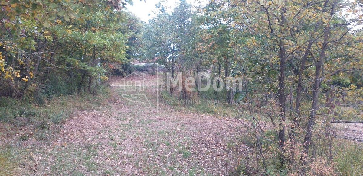 Land For sale - ISTARSKA SVETI PETAR U ŠUMI