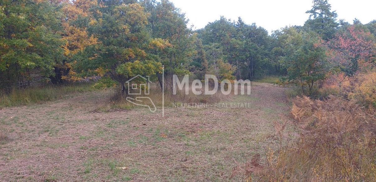 Land For sale - ISTARSKA SVETI PETAR U ŠUMI