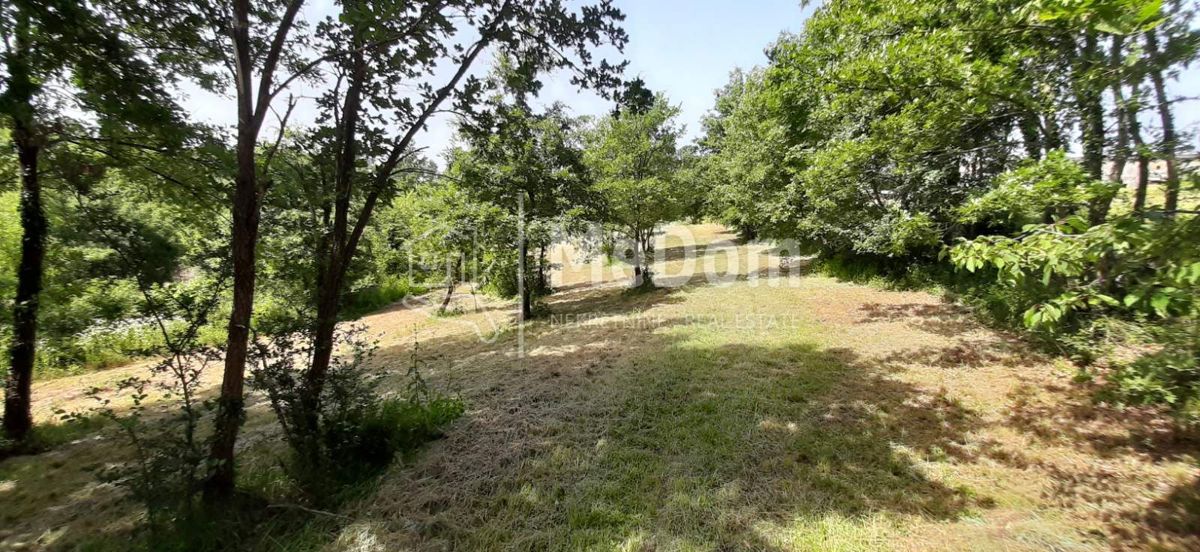 Land For sale - ISTARSKA SVETI PETAR U ŠUMI