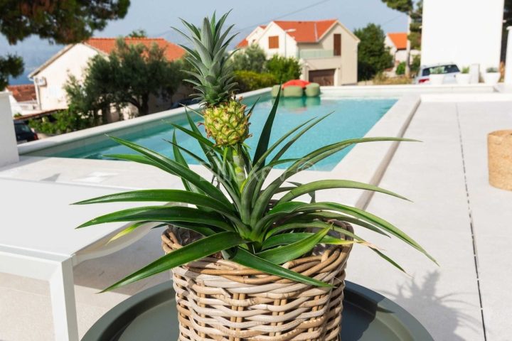 Casa In vendita - Splitsko-dalmatinska Supetar - foto 3/33