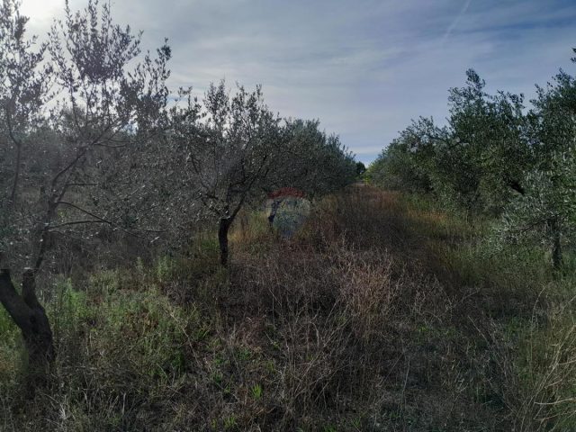 Zemljište na prodaju 2368 m² – Vodnjan