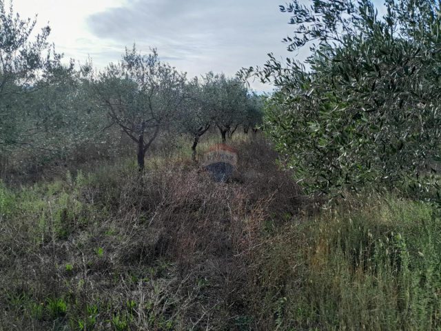 Terreno In vendita - Istarska Vodnjan - foto 4/8