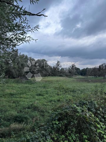 Zemljište na prodaju 4145 m² – Lički Osik