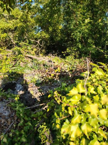 Land For sale - Primorsko-goranska Krk - foto 3/4