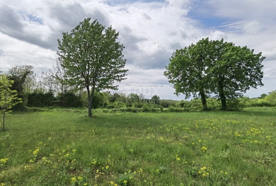 Terreno In vendita - ISTARSKA VIŠNJAN