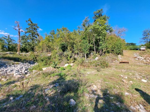 Land for sale 6100 m² – Permani
