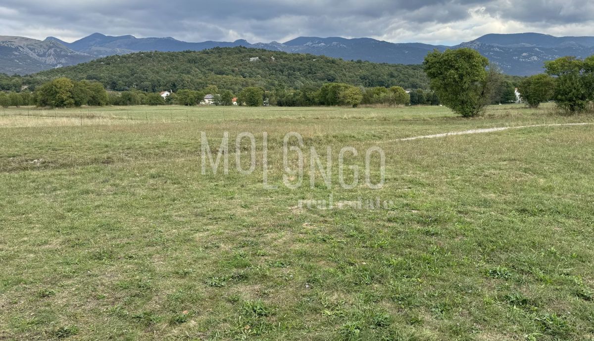 Land For sale - PRIMORSKO-GORANSKA JELENJE