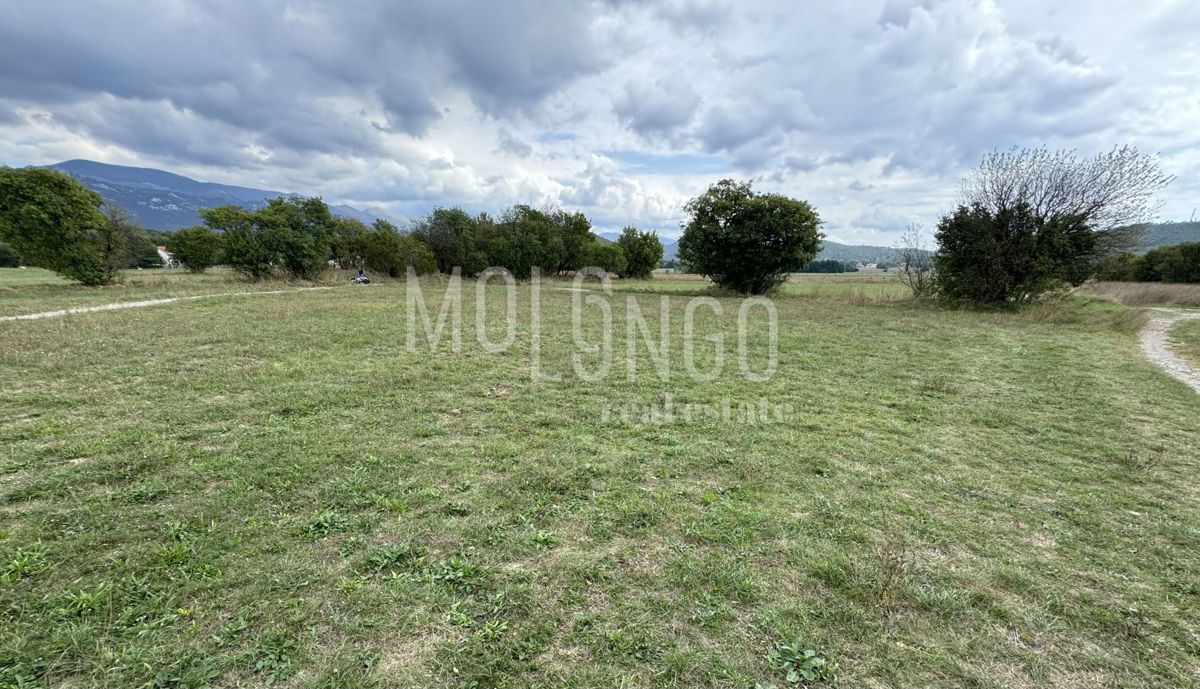 Land For sale - PRIMORSKO-GORANSKA JELENJE