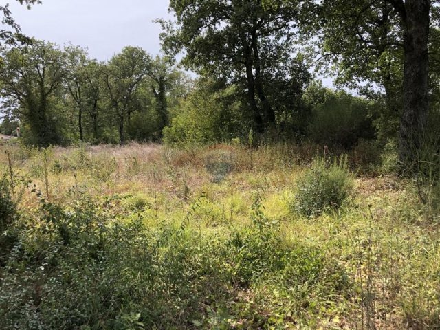 Terrain à vendre 735 m² – Peroj
