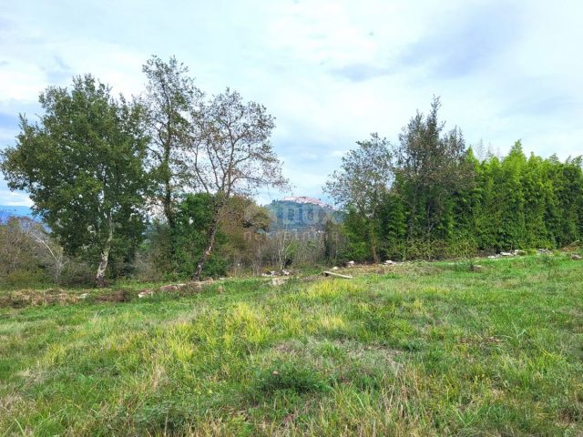 Pozemok na predaj 6006 m² – Motovun