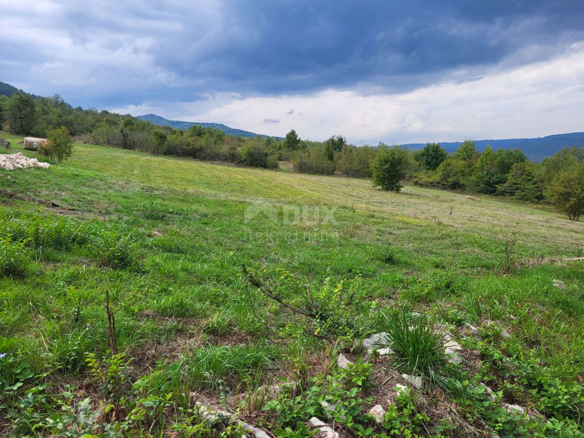 Terrain À vendre - Istarska Motovun - foto 2/7