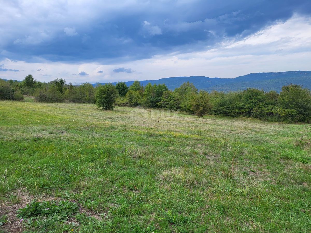 Terrain À vendre - Istarska Motovun - foto 4/7
