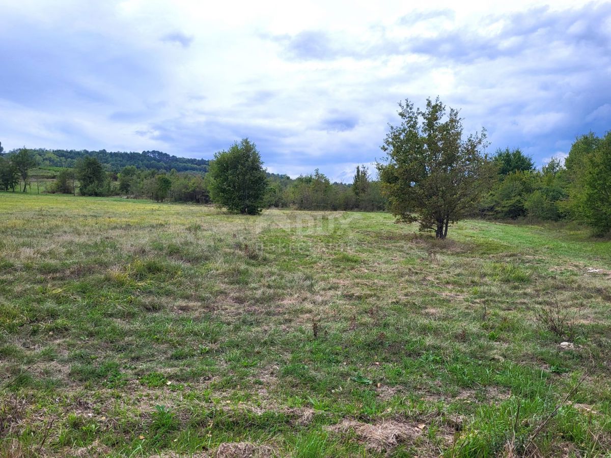 Parcela Naprodaj - ISTARSKA Motovun