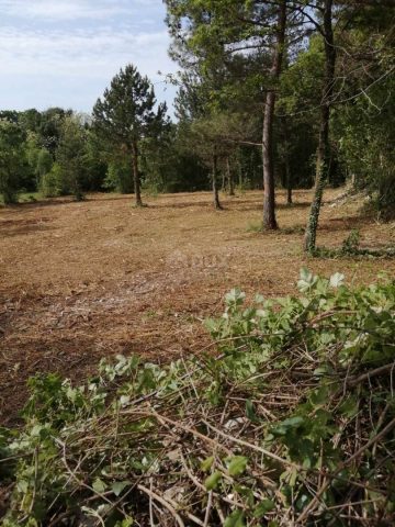 Pozemek Na prodej - Istarska Sveta Nedelja - foto 3/7
