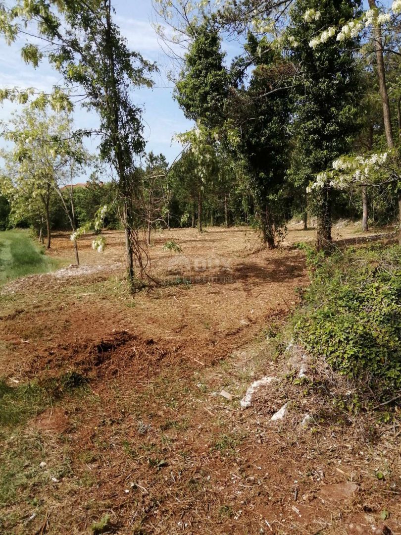 Terreno In vendita - ISTARSKA SVETA NEDELJA