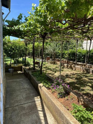 Haus Zu verkaufen - Istarska Marčana - foto 3/29