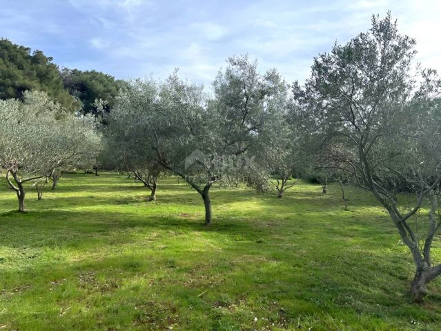 Grundstück Zu verkaufen - Primorsko-goranska Mali Lošinj - foto 2/15