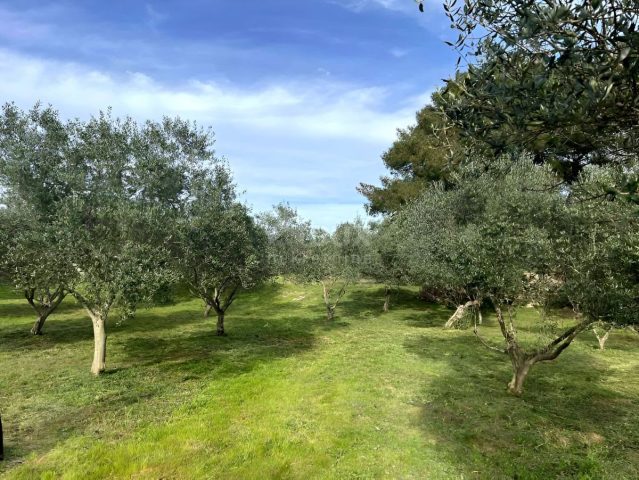 Grundstück Zu verkaufen - Primorsko-goranska Mali Lošinj - foto 3/15