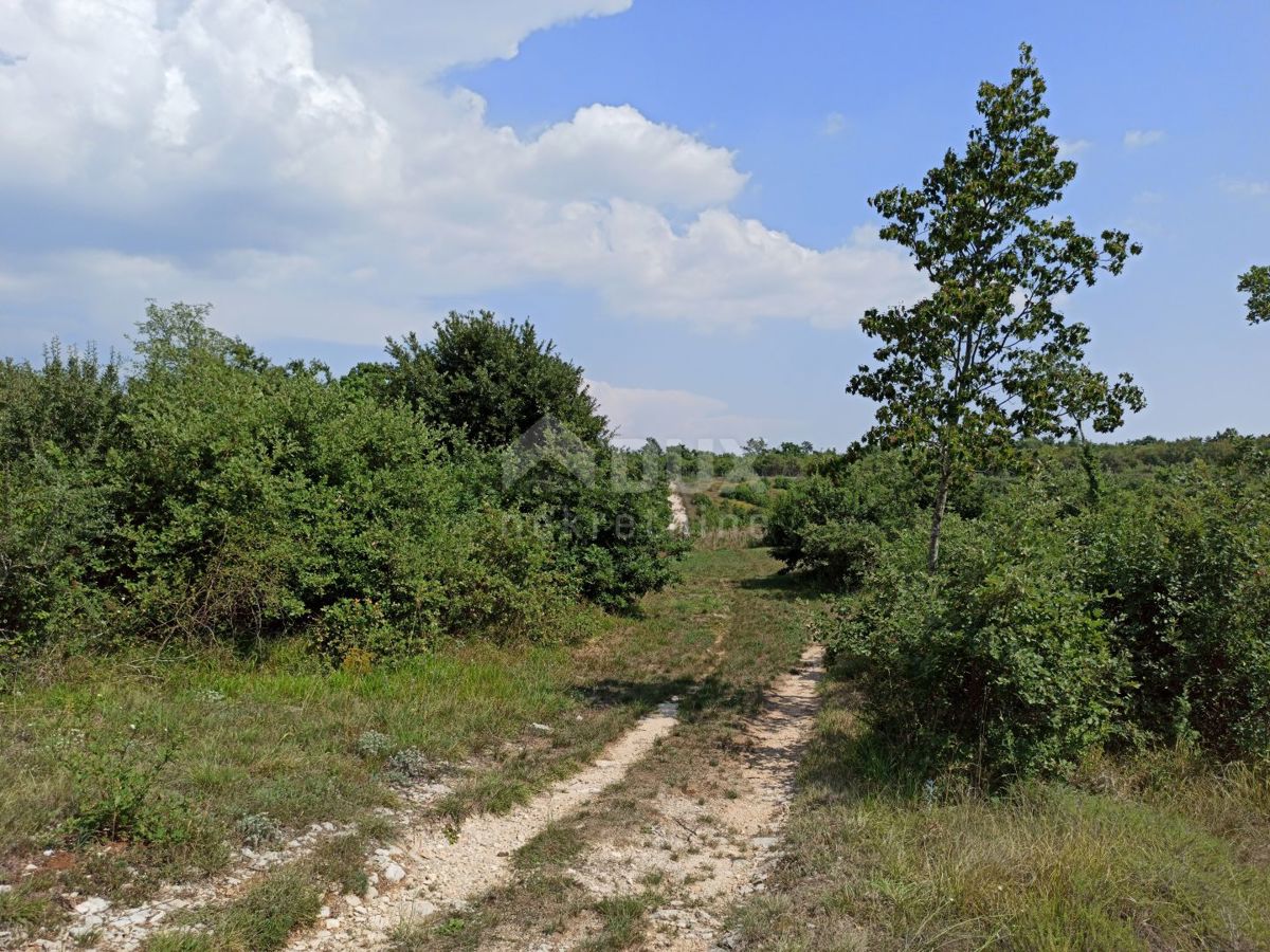 Dom Na predaj - ISTARSKA MARČANA