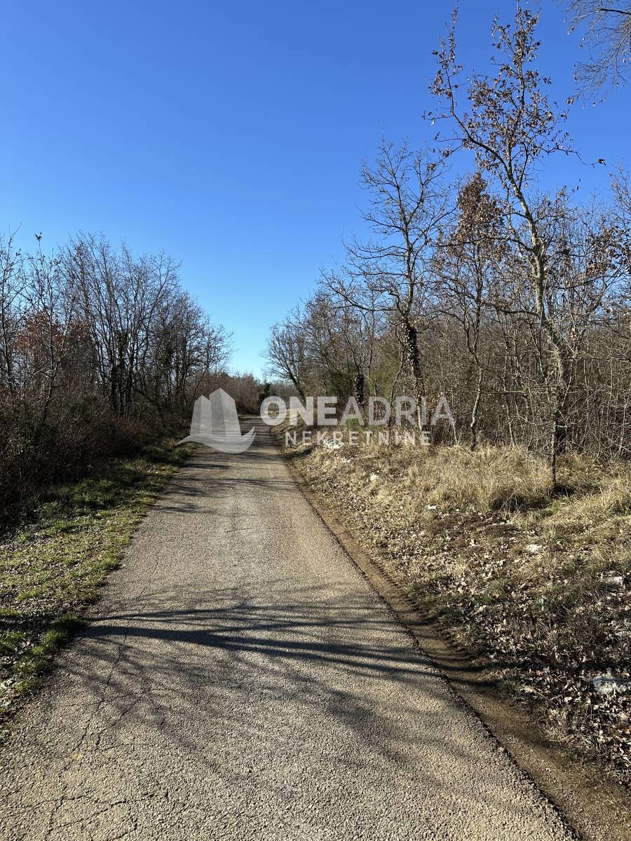 Land For sale - ISTARSKA Buzet