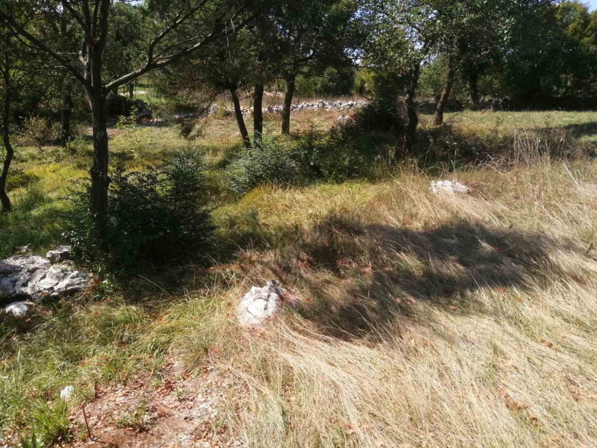 Terreno In vendita BALE