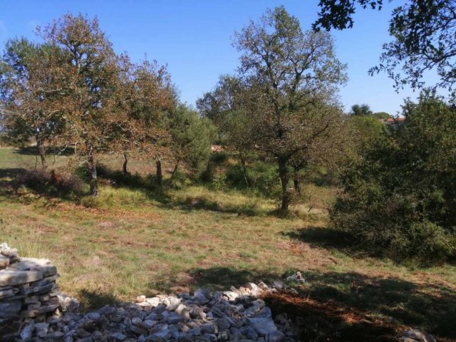 Pozemok na predaj 518 m² – Bale