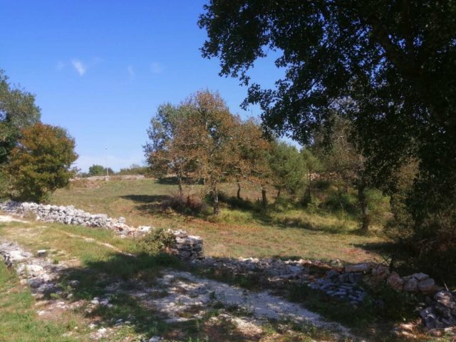 Parcela Naprodaj - Istarska Bale - foto 2/3