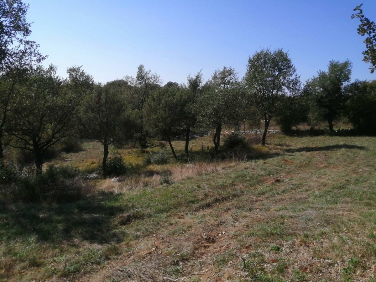 Parcela Naprodaj - ISTARSKA Bale