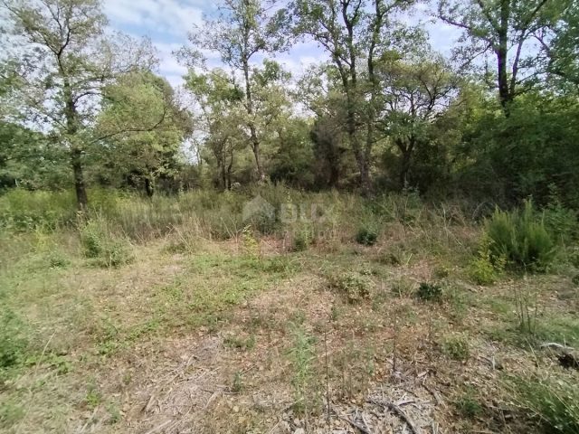 Terrain à vendre 3346 m² – Peroj