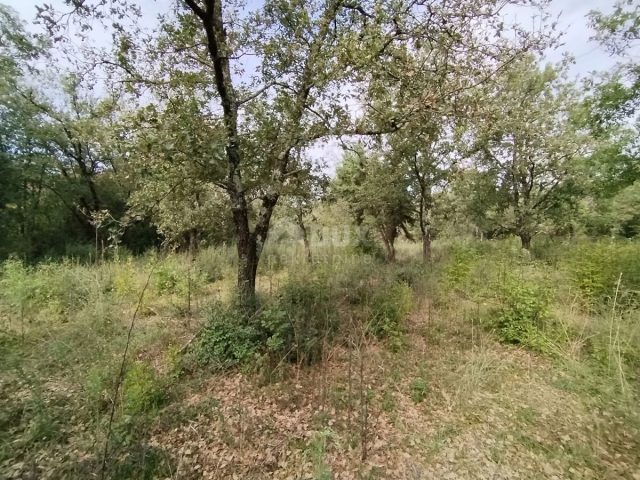 Terreno In vendita - Istarska Vodnjan - foto 2/15