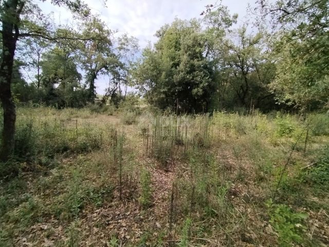 Terreno In vendita - Istarska Vodnjan - foto 3/15
