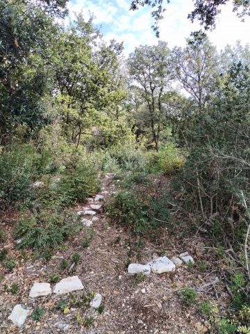 Terreno In vendita - Istarska Vodnjan - foto 5/15