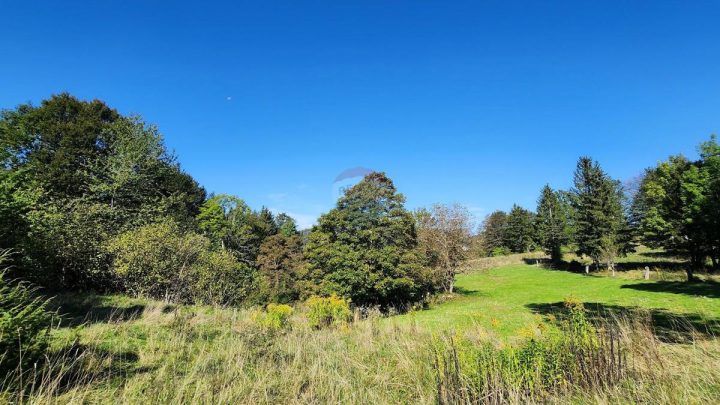 Terreno in vendita 5990 m² – Jablan