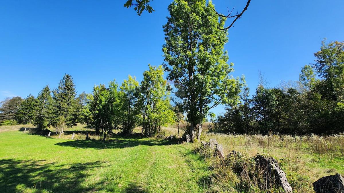 Parcela Na predaj - PRIMORSKO-GORANSKA VRBOVSKO