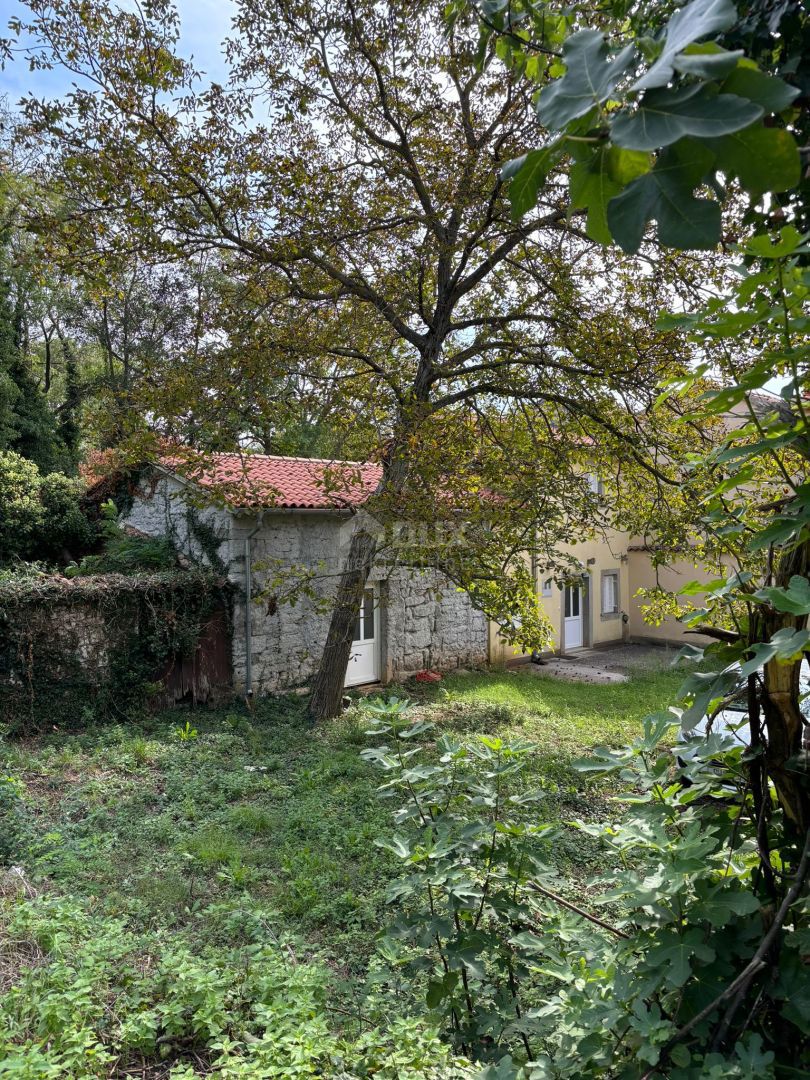 House For sale - ISTARSKA BARBAN