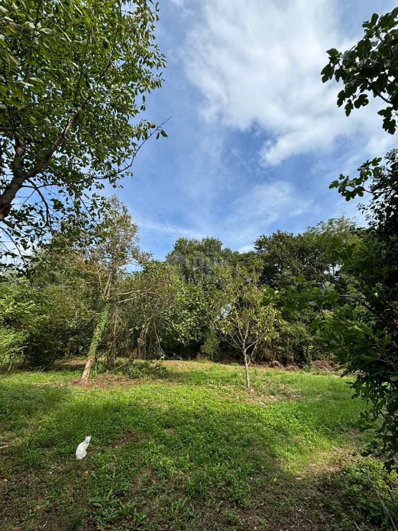 House For sale - ISTARSKA BARBAN