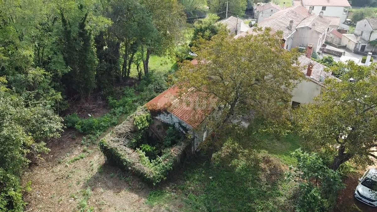 House For sale - ISTARSKA BARBAN