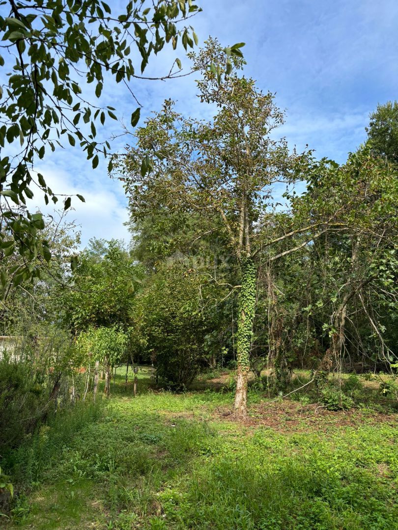 House For sale - ISTARSKA BARBAN