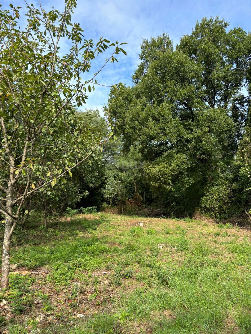 House For sale - ISTARSKA BARBAN