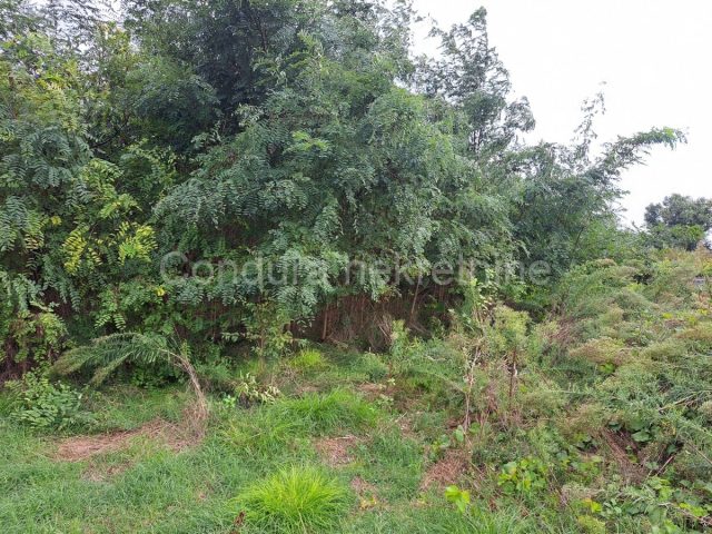 Land for sale 515 m² – Nin