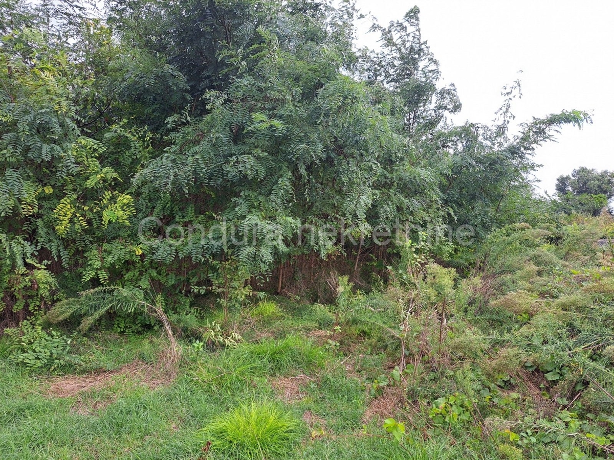Land For sale - Zadarska Nin - foto 1/1