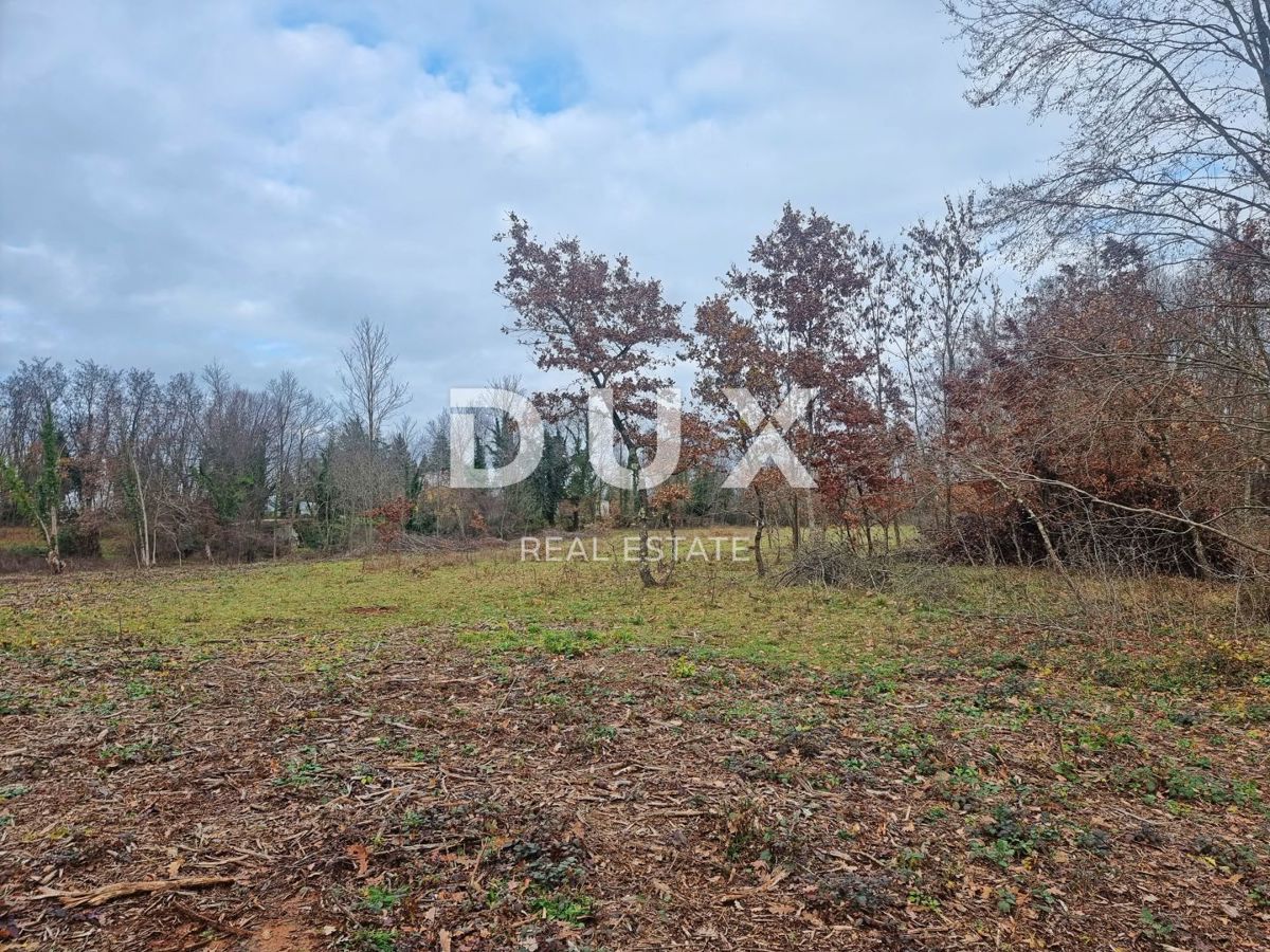 Terreno In vendita - Istarska Labin - foto 2/3