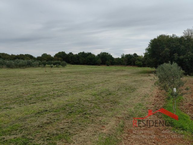 Zemljište na prodaju 890 m² – Šišan
