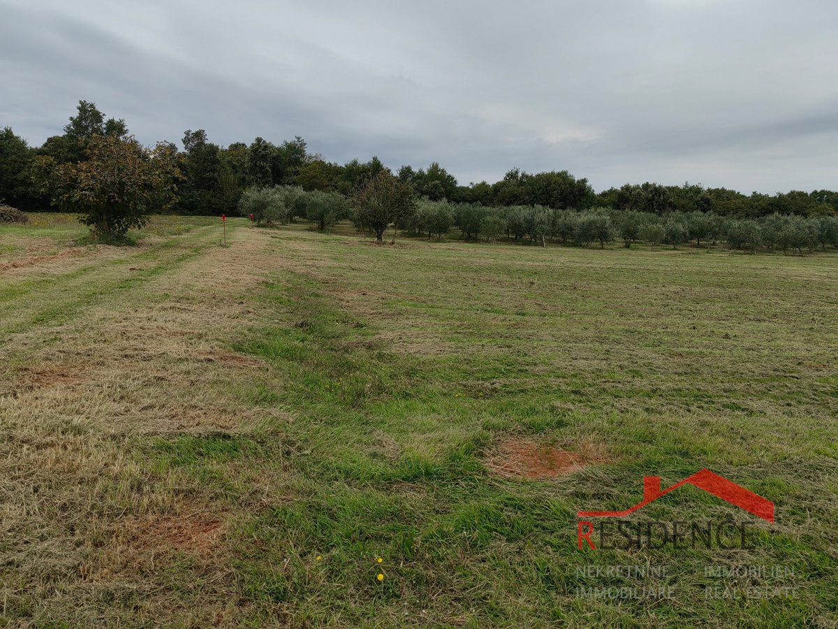 Land For sale - ISTARSKA LIŽNJAN