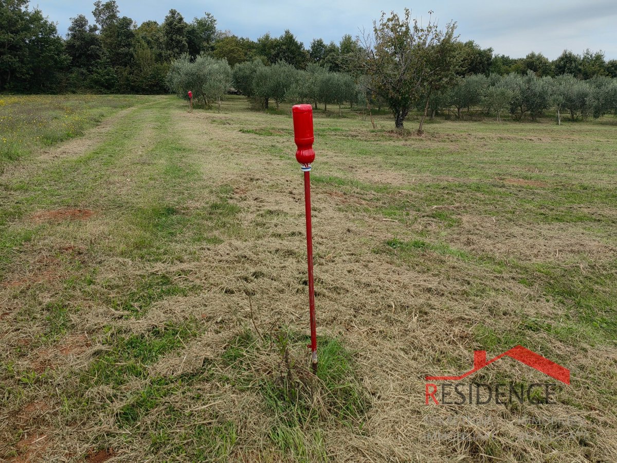 Land For sale - ISTARSKA LIŽNJAN