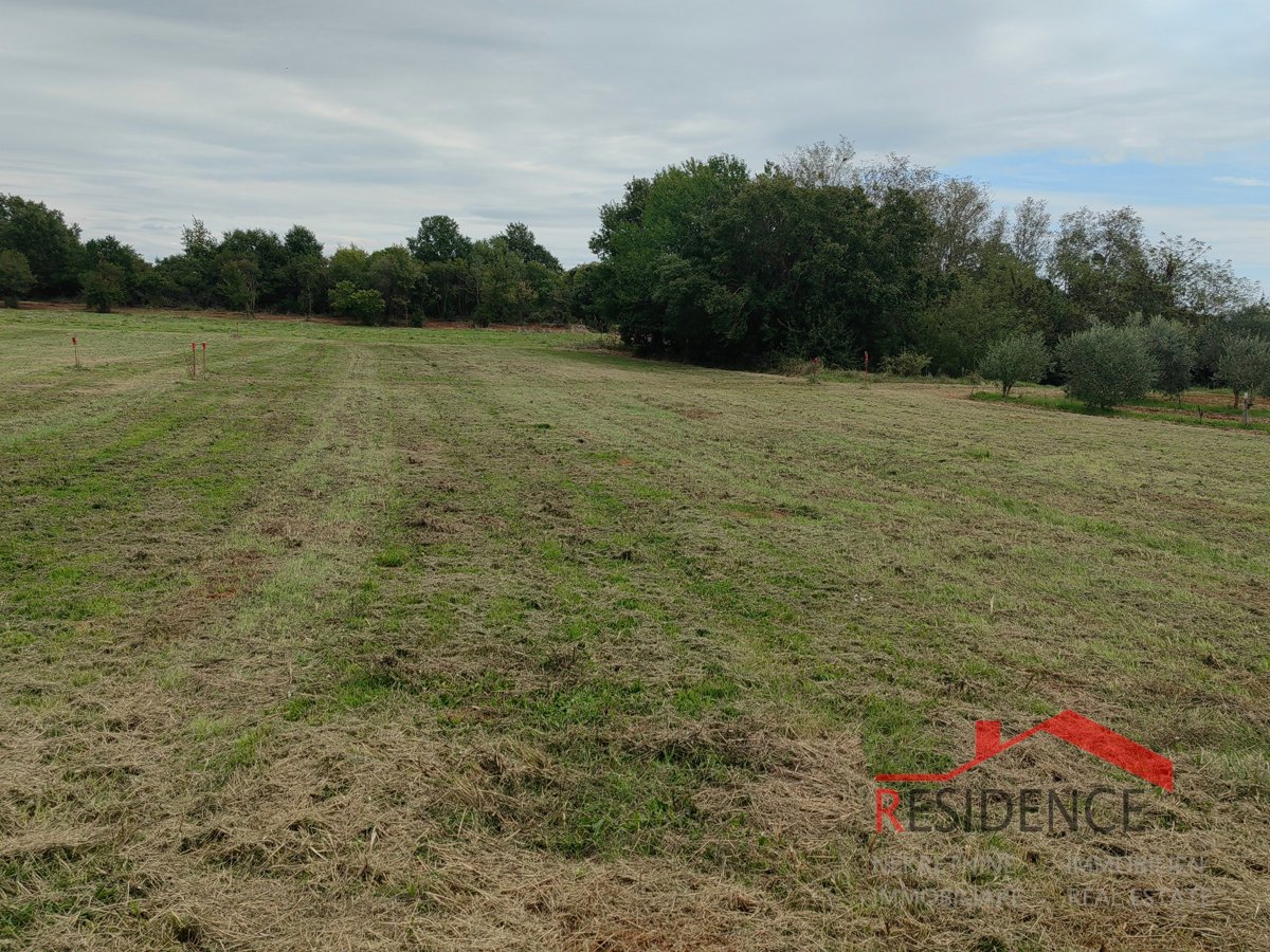 Land For sale - ISTARSKA LIŽNJAN