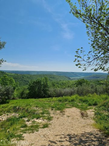 Parcela Naprodaj - Istarska Buje - foto 5/5
