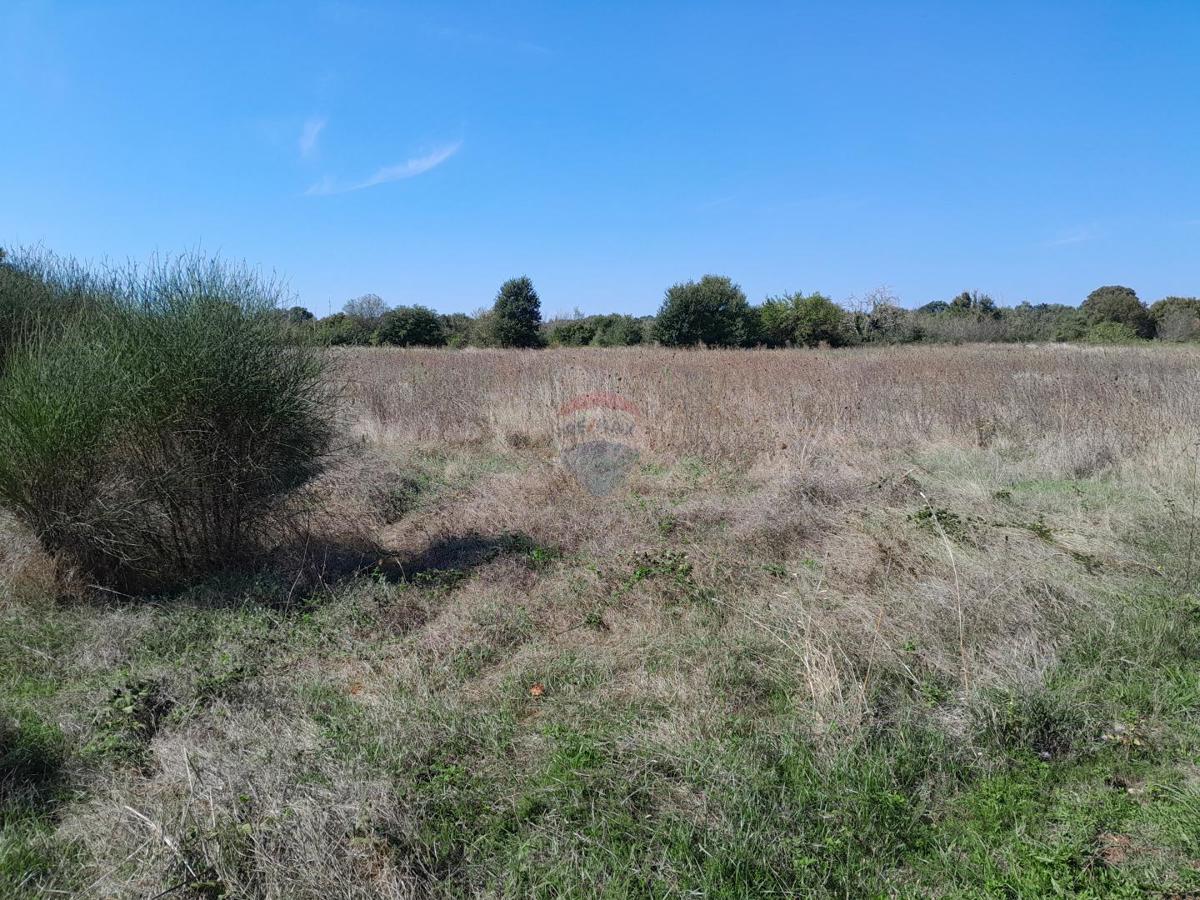 Parcela Na predaj - Istarska Marčana - foto 1/3